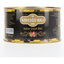 Köyceğiz Balı Bahar Çiçek Balı 1850 gr Teneke