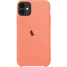 Smart Tech Apple IPhone 11 Silikon Lansman Kılıf