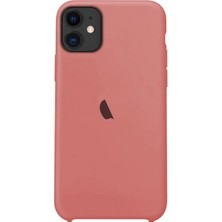 Smart Tech Apple IPhone 11 Silikon Lansman Kılıf