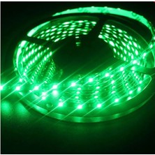 Goldmoon Şerit LED Dış Mekan Yeşil 12V 5m