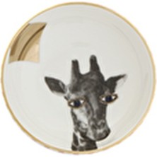 Porland Wild Life 4'lü Kase Seti 10 cm