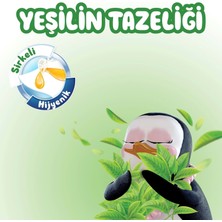 Familia Islak Havlu Mendil Yeşilin Tazeliği 90 Yaprak Plastik Kapaklı 18 Li Set 1620 Yaprak