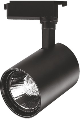 Heslight HS506/1S 30W Cob LED Ray Spot Siyah Kasa 6500K Beyaz Işık Yüksek Lümen