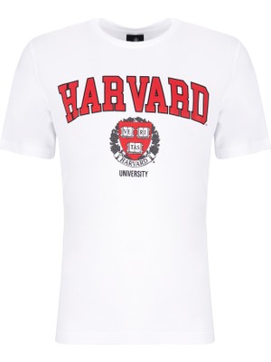 Lumberjack AS00843459 101106041 SN685 Harvard Logo 2fx Lumberjack Erkek T-Shirt Beyaz