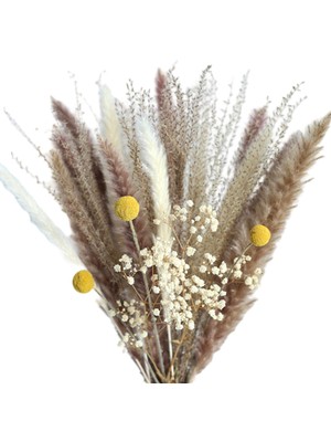 Dolity Rustik Kurutulmuş Pampas Çim Reed Çiçek Demet Vazo Ev Partisi Dekor Için Hediye A