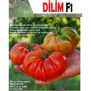 Dilim F1 (Hibrit) Köy Domatesi Tohumu ( 20 Adet)