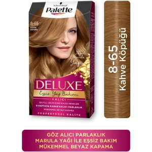 Schwarzkopf Palette Deluxe 8-65 Kahve Köpüğü Saç Boyası