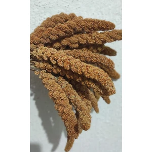 Eren Pet Dal Darı Doğal Üretim Kızıl Dal Darı 250 gr