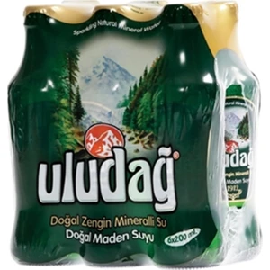 Doğal Zengin Mineralli Maden Suyu 6 x 200 ml