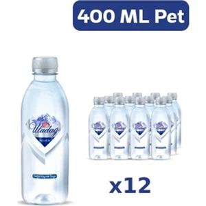 Premium Doğal Kaynak Suyu 400 ml 12 Li Paket