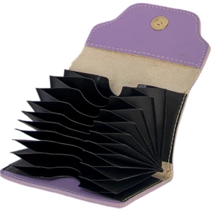 Yıkama Deri Mini Akordiyon Kartlık LD217