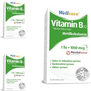 Vitamin B12 1000 Mcg Sprey 5 ml 3 Kutu