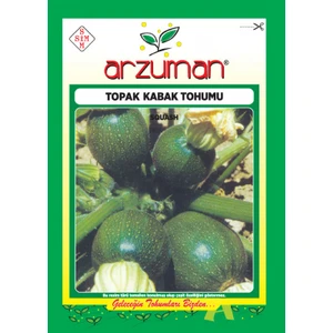 Topak Kabak Tohumu ( 30 Adet Tohum)