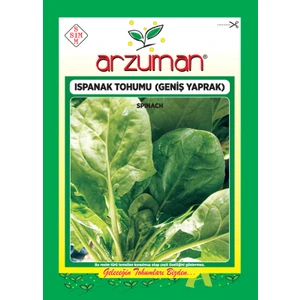Ispanak Tohumu( Geniş Yaprak) ( 2.500 Adet Tohum)