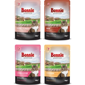 Pouch Yetişkin Kedi Maması - Karışık - 4 Adet