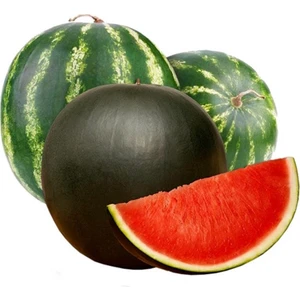 Sebze Meyve Dünyası Karpuz