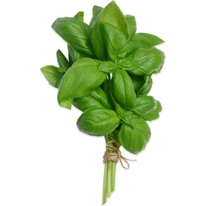 Sebze Meyve Dünyası Taze Fesleğen ( 25  Gr Paket )