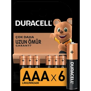 Basic Ince Kalem Pil 6'lı Aaa