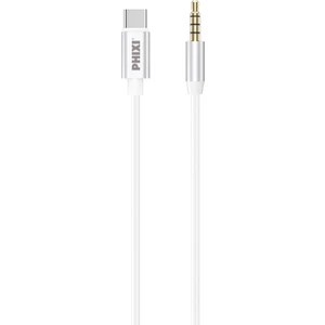 Basic CA113 Type-C Aux Kablo
