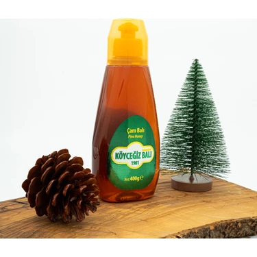 Köyceğiz Balı Çam Balı 400 G Çıt