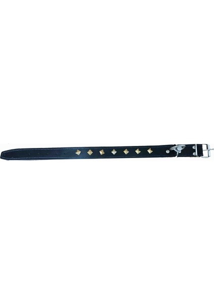 Süslü Köpek Boyun Tasması 67 cm