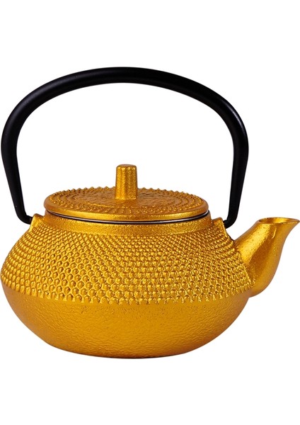 Filtre Çiçek Çay Bayan Dökme Demir Çay Tapotu Kettle Kahve Çaydanlık | Çaydanlıklar (Yurt Dışından)