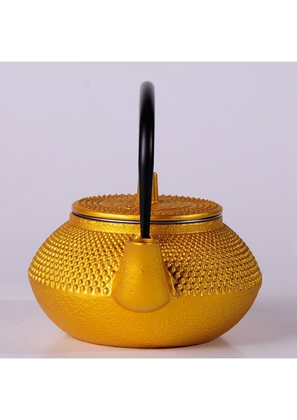 Filtre Çiçek Çay Bayan Dökme Demir Çay Tapotu Kettle Kahve Çaydanlık | Çaydanlıklar (Yurt Dışından)