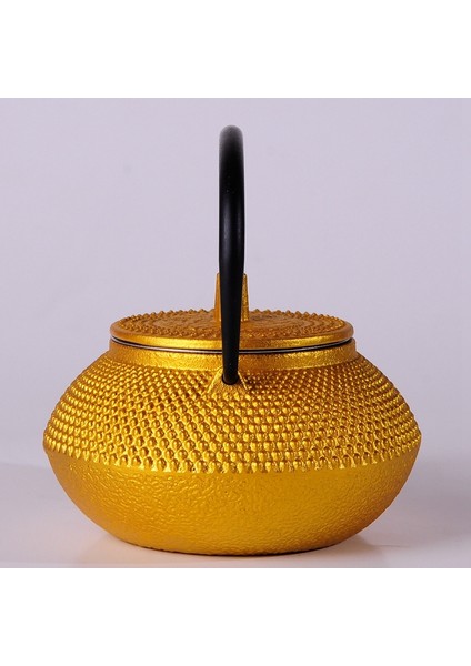 Filtre Çiçek Çay Bayan Dökme Demir Çay Tapotu Kettle Kahve Çaydanlık | Çaydanlıklar (Yurt Dışından)