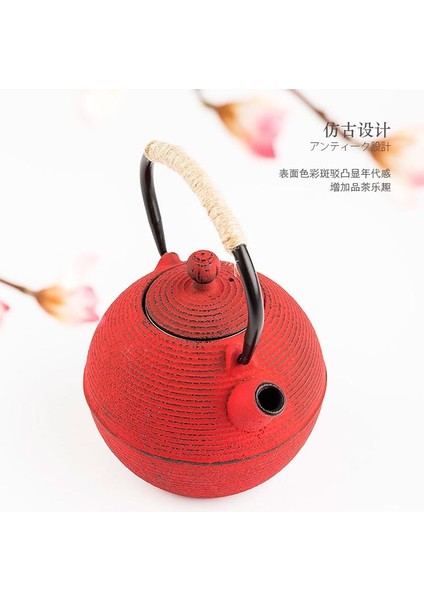 Demir Çay Potu Tetsubin Stil Demlik Su Isıtıcısı Filtre Dökme Çaydanlık Çay Kaynağı Su Kung Fu Oolong Çay Seti 680Ml | Çaydanlıklar (Yurt Dışından) modelleri