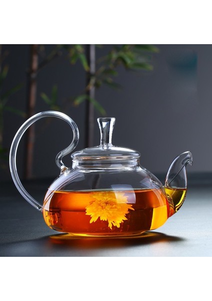 Yüksek Borosilikat Isıya Dayanıklı Cam Çaydanlık Çin Cam Çaydanlıklar Ev Yüksek Saplı Şeffaf Çiçek Kahve Cam Çaydanlık | Çaydanlıklar (400Ml) (Yurt Dışından)