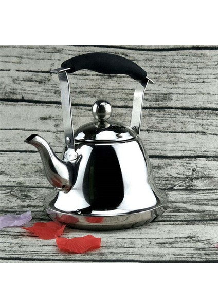 Çay Su Isıtıcısı Paslanmaz Çelik Çaydanlık Çay Kahvesi Hızlı Kaynama 2L | Çaydanlıklar (Yurt Dışından)