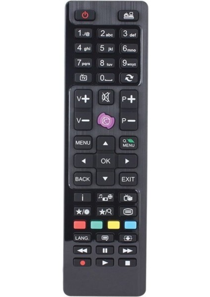 49R6012 Smart LED Tv Kumandası