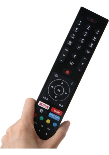 Regal 50R754 Smart LED Tv Kumandası