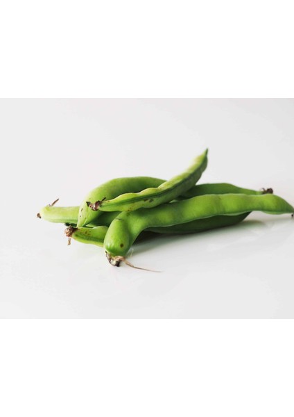 Majör Bakla Tohumu ( 1 Kg)