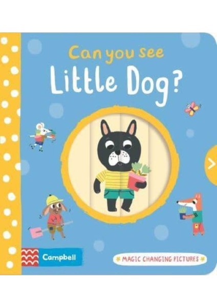 Can You See Little Dog? Magic Changing Pictures - Can You See?
