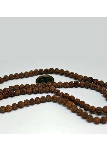 Rudrashka Tohum (Mala Yapımı Için) 8mm/10 Adet Rudraksha