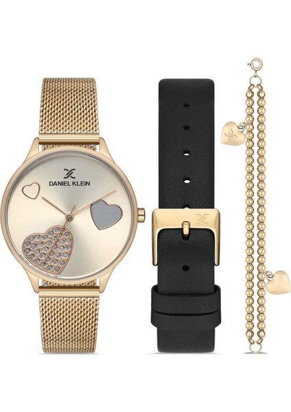 Danıel Kleın DK000026 Kadın Kol Saati Seti