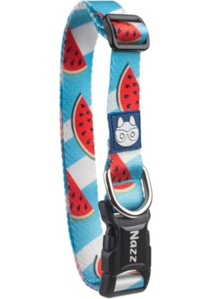 Nazzpet Rocky Medium Köpek Boyun Tasması