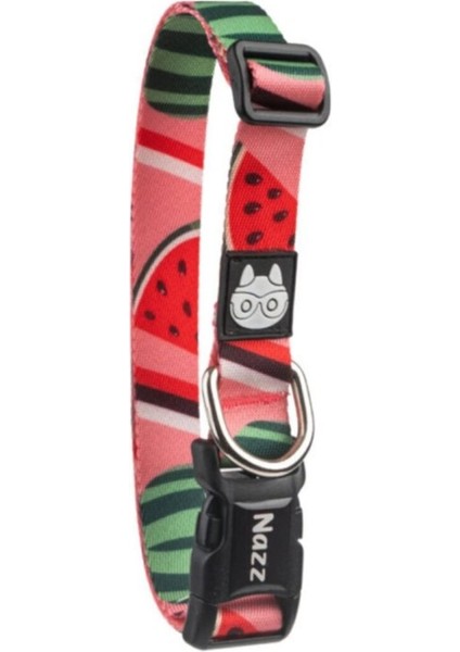Nazzpet Fuji Small Köpek Boyun Tasması