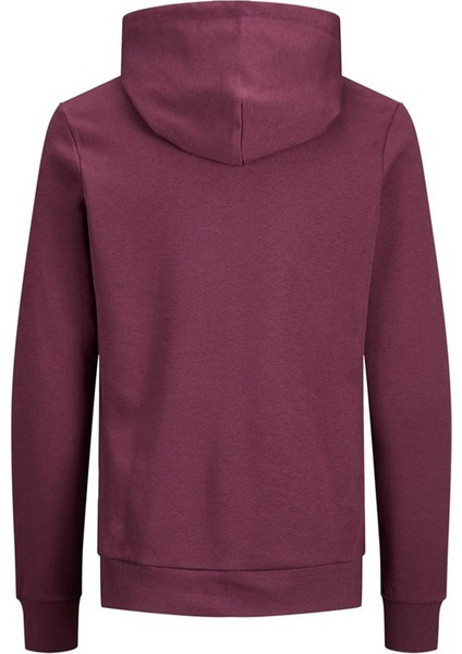 Jack & Jones Jjecorp Logo Sweat Hood Noos Hawthorn Rose