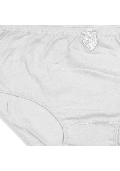 Kadın Pamuklu Penyesi Ribana Bato Yüksek Bel Slip Klasik Külot 2'li modelleri