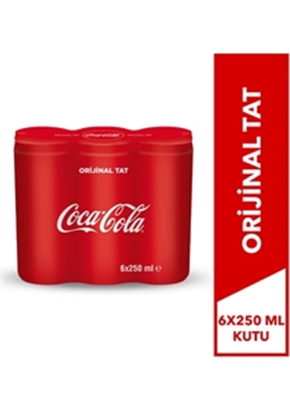 Coca Cola Kutu Orijinal 6 x 250 ml