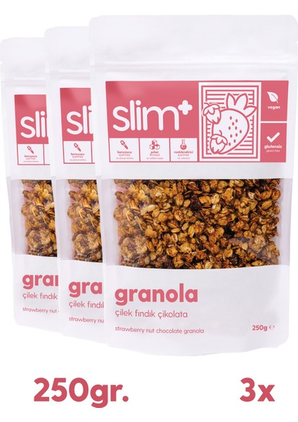 3 Paket Çikolata Çilek Fındık Glutensiz Ilave Şekersiz Vegan Granola 250gr