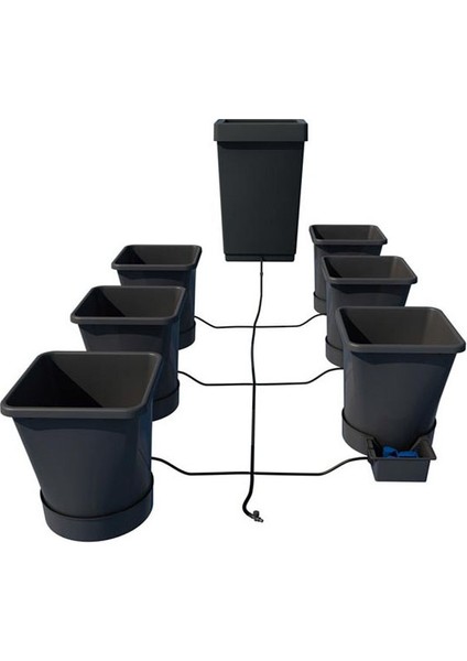 Xl 6 Saksılı Kit