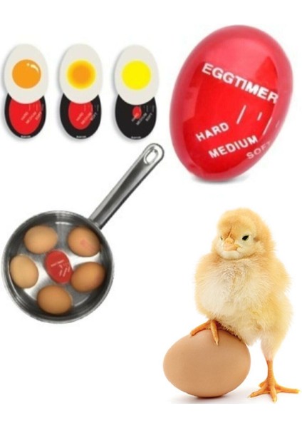 Yumurta Haşlama Zamanlayıcısı Dublör Yumurta Egg Timer