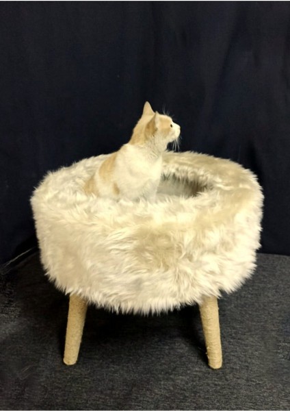 Sofaist Kedi Yatağı, Kedi Evi, Kedi Tırmalaması