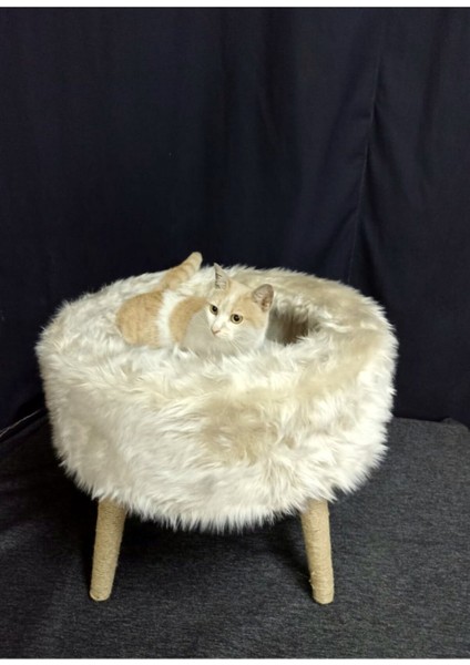 Sofaist Kedi Yatağı, Kedi Evi, Kedi Tırmalaması