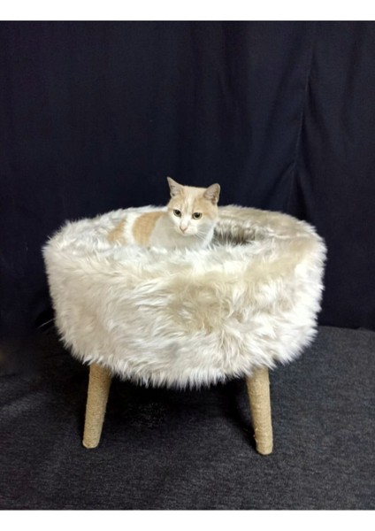 Sofaist Kedi Yatağı, Kedi Evi, Kedi Tırmalaması