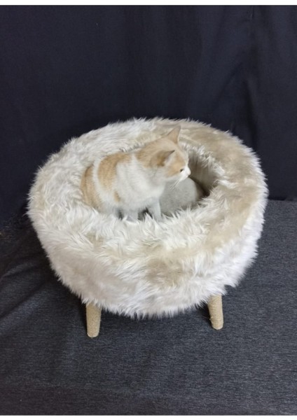 Sofaist Kedi Yatağı, Kedi Evi, Kedi Tırmalaması