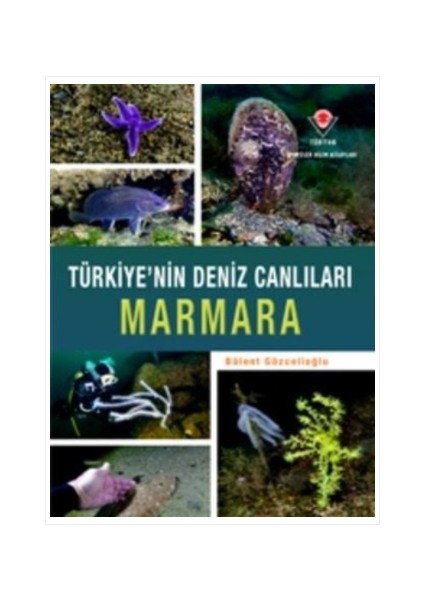 Türkiye`nin Deniz Canlıları Marmara